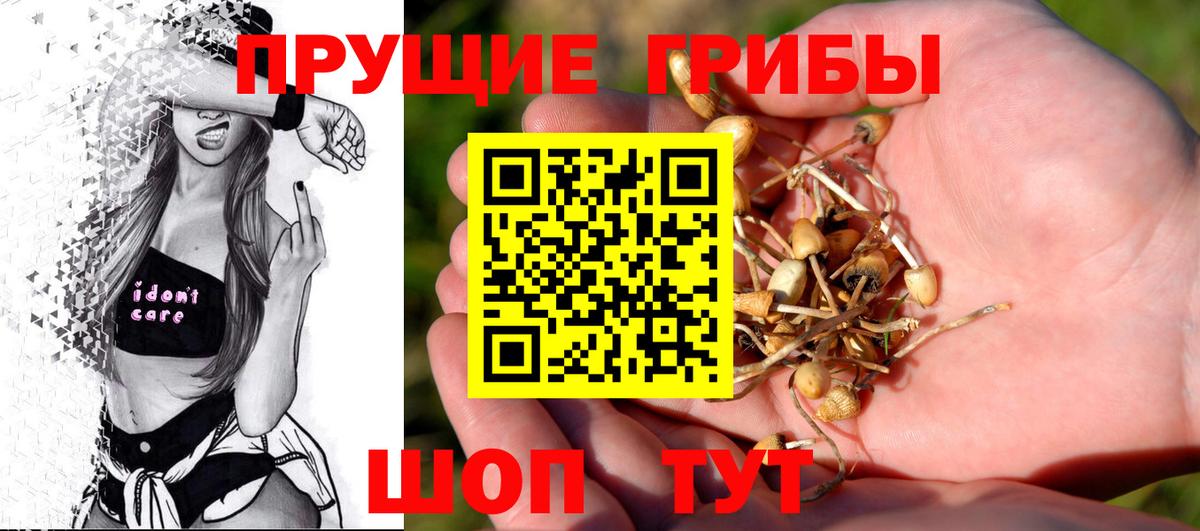 Псилоцибиновые грибы GOLDEN TEACHER Печора